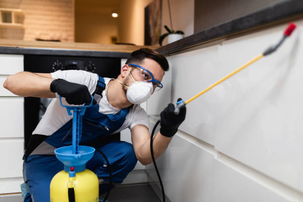 Best Best Pest Control Near Me  in Trenton, OH