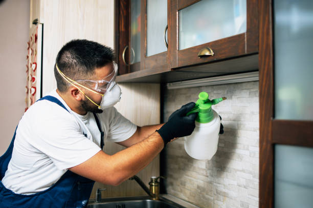 Best Local Pest Control Services  in Trenton, OH
