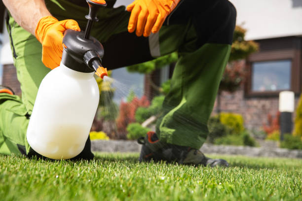 Best Pest Control Near Me  in Trenton, OH