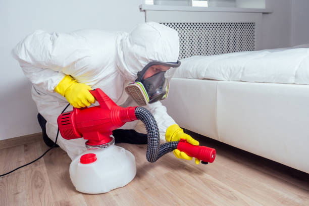 Best Insect Control  in Trenton, OH