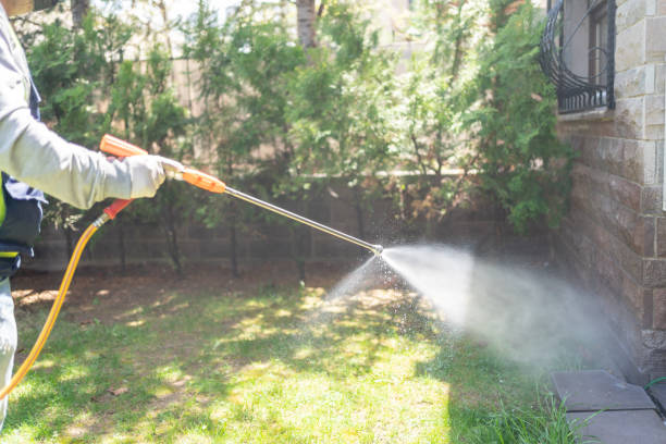 Wasp Removal Services in Trenton, OH