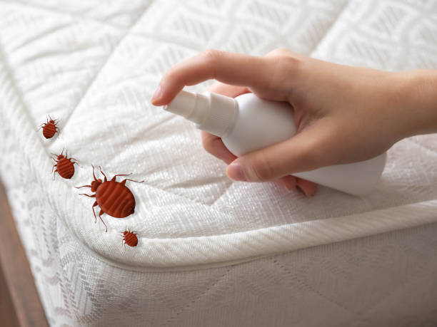 Best Commercial Pest Control Services  in Trenton, OH