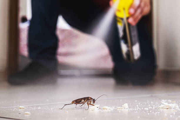 Best Rat Extermination Near Me  in Trenton, OH