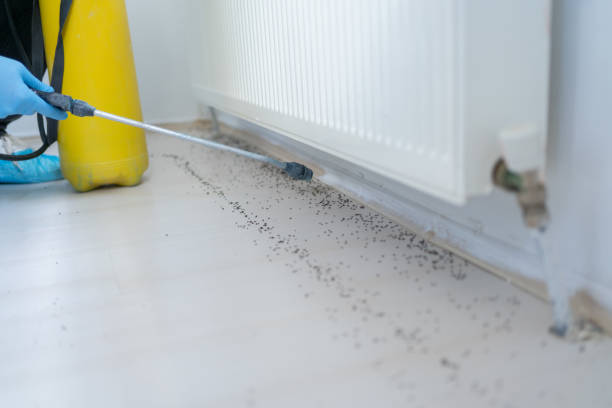 Best Residential Pest Control  in Trenton, OH