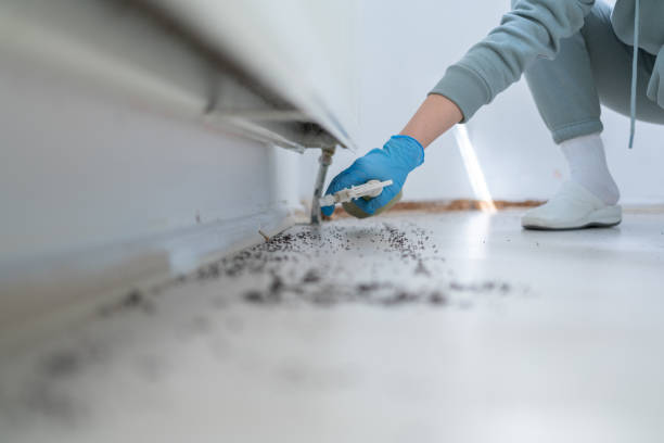 Best Pest Removal Services  in Trenton, OH